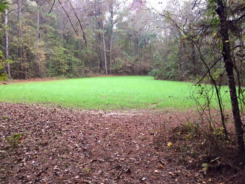 Ultimate Outdoor Paradise : Moss Point : Jackson County : Mississippi