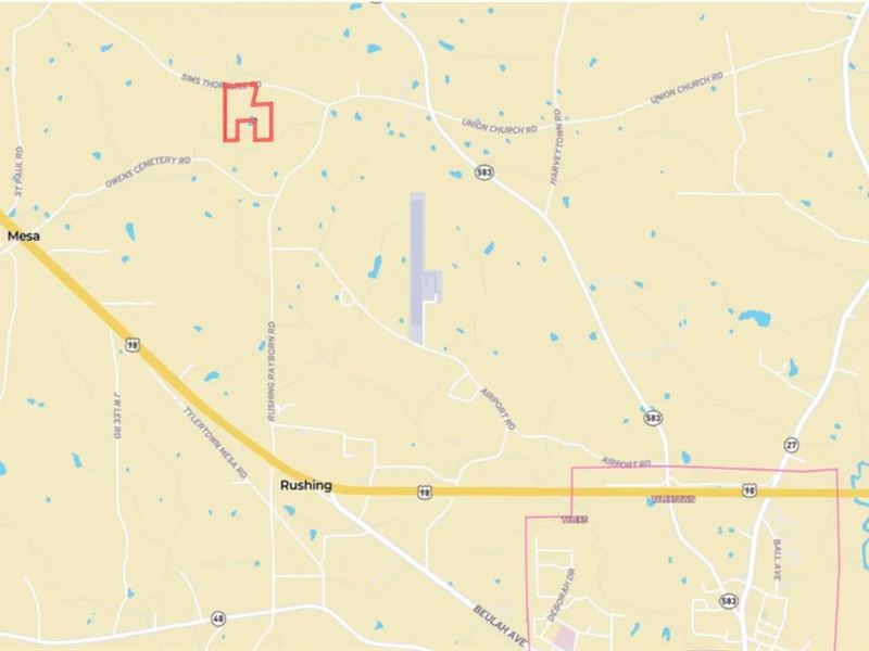 27.19 Acres with A Massive Covered : Tylertown : Walthall County : Mississippi