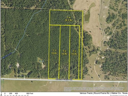 15 Acres, T-1, Round Prairie Road : Huntsville : Walker County : Texas