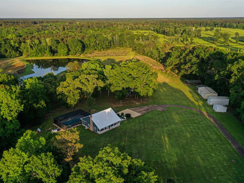 Recreational Paradise-49 Acres : Jayess : Walthall County : Mississippi