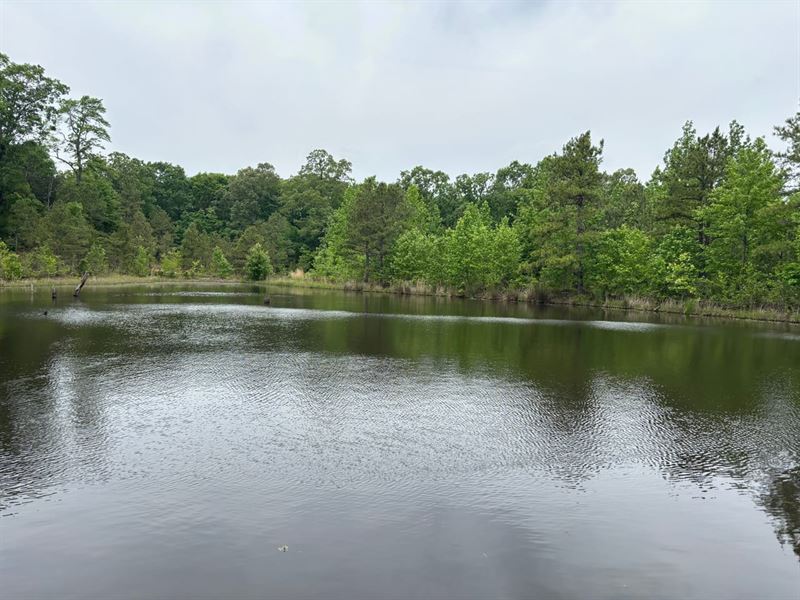 65 Wooded Acres Jackson County : Bradford : White County : Arkansas