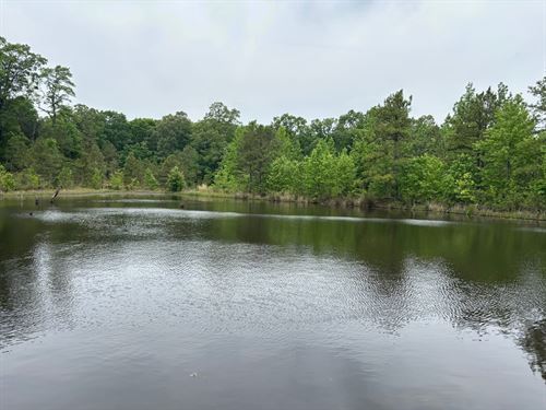 65 Wooded Acres Jackson County : Bradford : White County : Arkansas