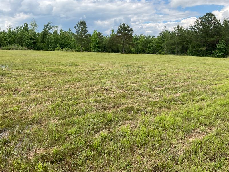Beaver Pond Rd Lot : Luverne : Crenshaw County : Alabama