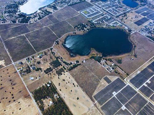 Valencia Hills Shovel Ready : Lake Wales : Polk County : Florida