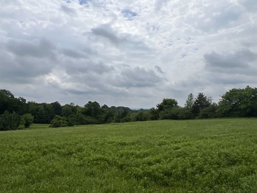 27.63 Acres Pond, Grassed, Wooded : Resaca : Gordon County : Georgia