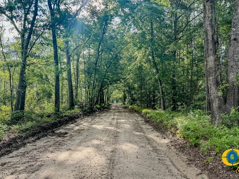 Bluefield Drive : Jacksonboro : Colleton County : South Carolina