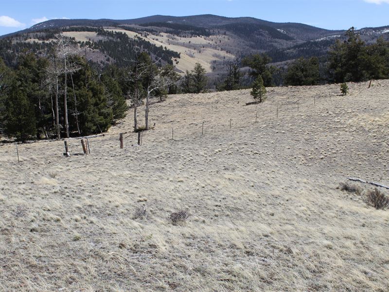 Stoney Face Mountain : Canon City : Fremont County : Colorado