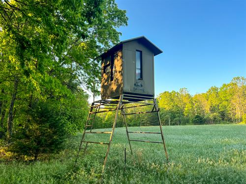 Hutton Valley Haven : Pomona : Howell County : Missouri