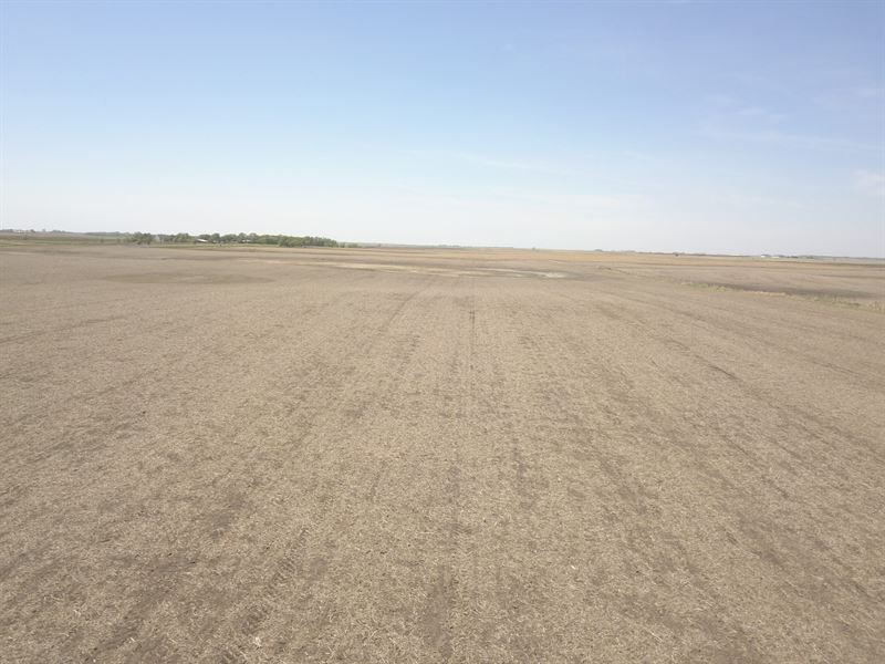 62.82 Acres-Brown County Farm & Crp : Houghton : Brown County : South Dakota