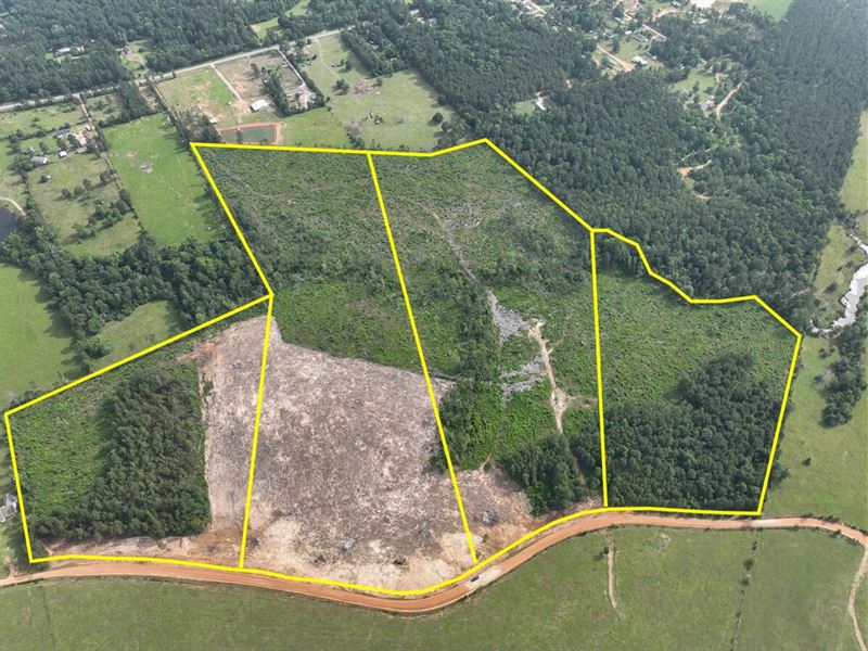 12 Acres, T-4, Old Salem Church : Willis : San Jacinto County : Texas