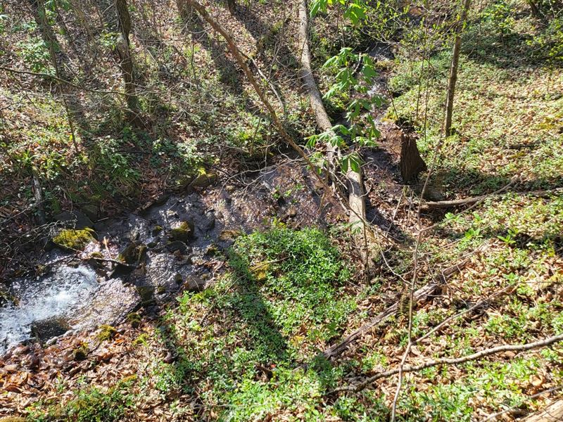 38 Acres of Unrestricted Mountai : Cullowhee : Jackson County : North Carolina