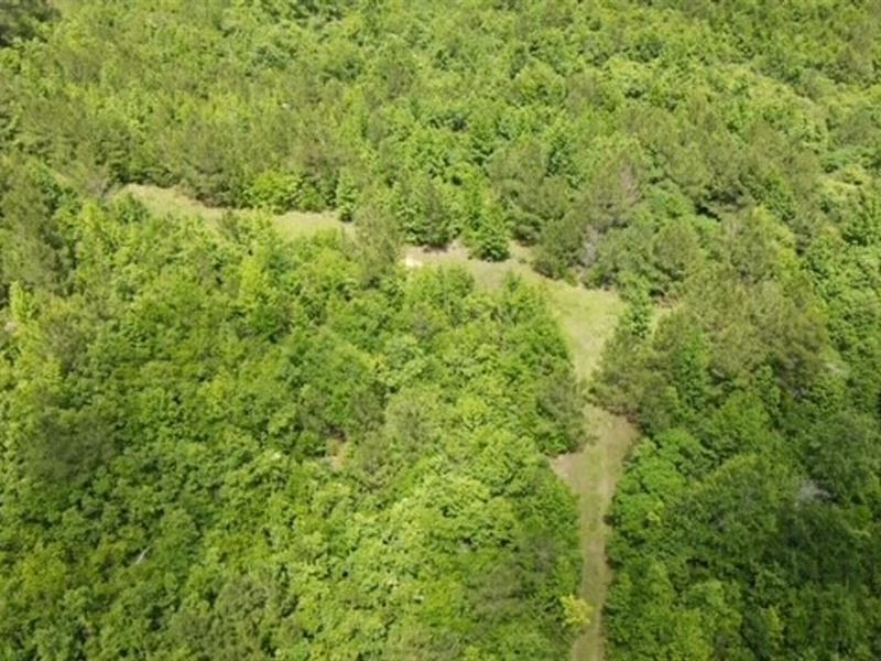 28 Acres on Valley LN : Summit : Pike County : Mississippi