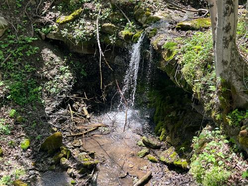 Kelly Hollow Rd, Allegheny County : Monongahela : Allegheny County : Pennsylvania