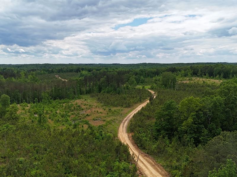 252 Acres in Chester County, TN : Henderson : Chester County : Tennessee