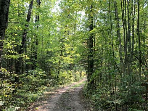 Amik Lake Acreage : Lac Du Flambeau : Vilas County : Wisconsin