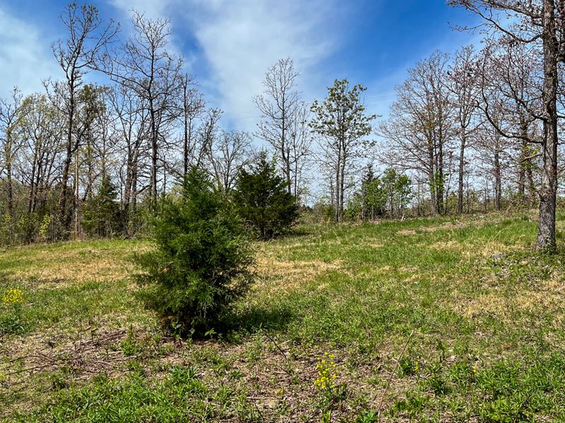 Beautiful Views All Around : Willow Spring : Texas County : Missouri