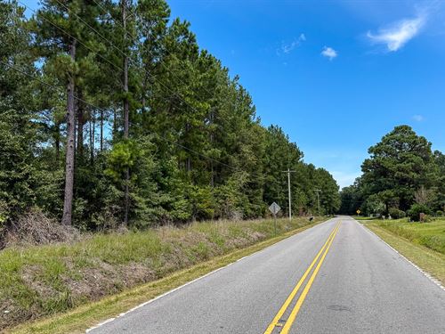 Peurifoy Road Estate : Walterboro : Colleton County : South Carolina