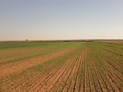 150 Farm Auction : Jet : Alfalfa County : Oklahoma