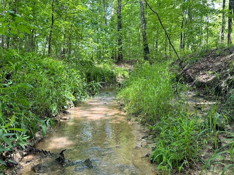 Center Hill Rd. Tract : Crawfordville : Taliaferro County : Georgia