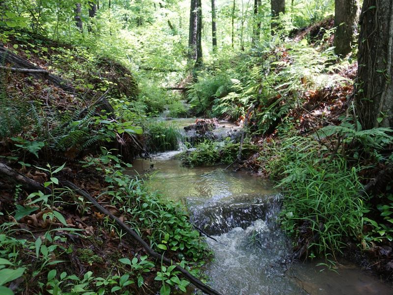 30.8 Ac Lamar Co, GA : Barnesville : Lamar County : Georgia