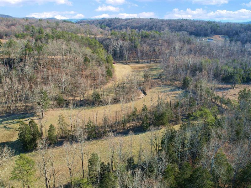 8.54 Acres in Estill, KY : Irvine : Estill County : Kentucky