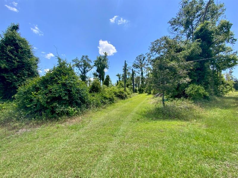 427 SW Castleberry Trail : Madison : Madison County : Florida