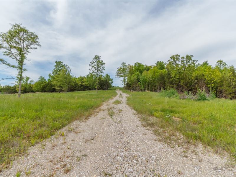 43.2 Acres in Wright County Niangua : Niangua : Wright County : Missouri
