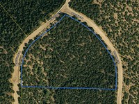 Majestic Timber Heaven, $316/Mo : San Luis : Costilla County : Colorado