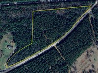 Wooded Homesites & Long Rd Frontage : Elberton : Elbert County : Georgia