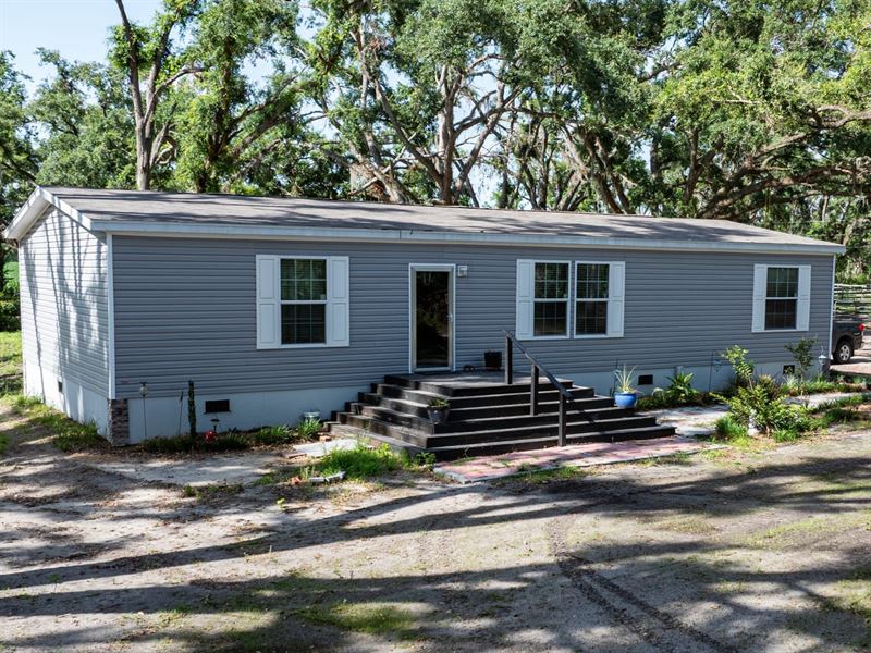 Equine Property on Rutherford Rd : Lee : Madison County : Florida