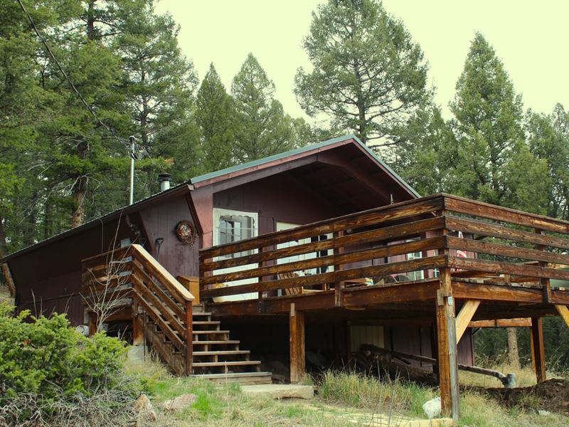 Cozy Guffey Cabin : Guffey : Park County : Colorado