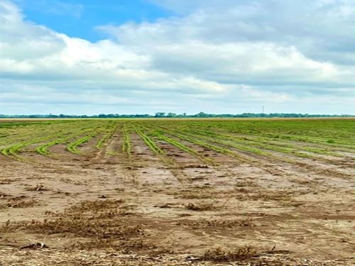 160 Acres in Coahoma County in Clar : Clarksdale : Coahoma County : Mississippi