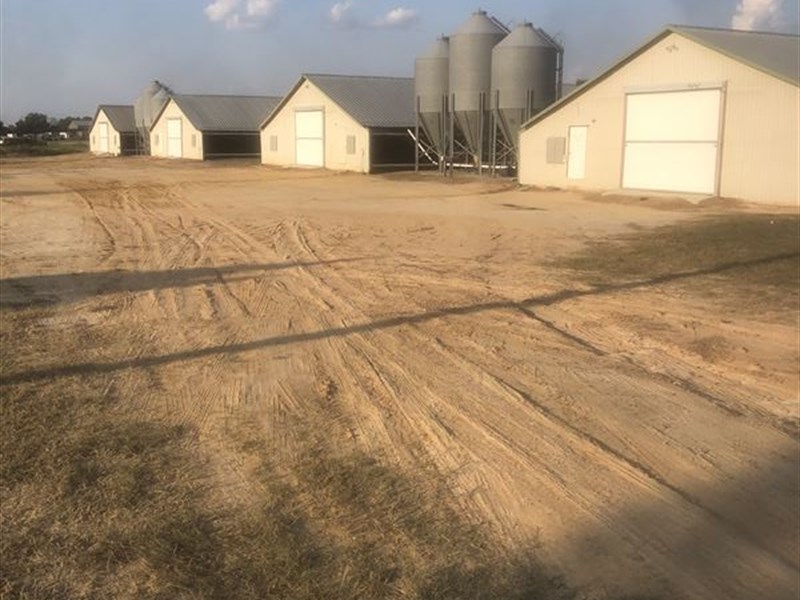 8 Broiler Farm for Sale in Texas : Tenaha : Shelby County : Texas