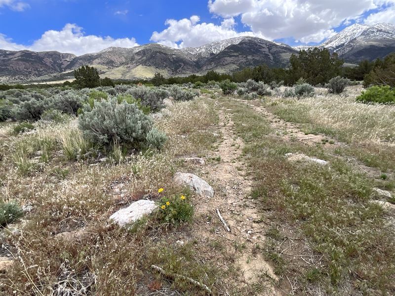 10 Acres of Wild Nevada Beauty : West Wendover : Elko County : Nevada