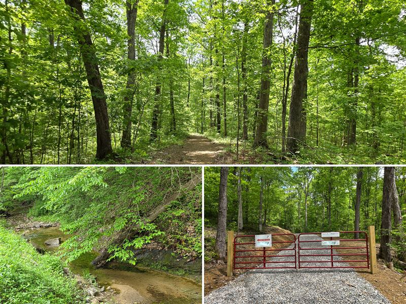 Big Timber Ridge, Phase II Tract 1 : Vinton : Meigs County : Ohio