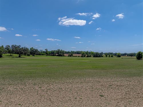 Alachua Transitional Acreage : Alachua : Florida