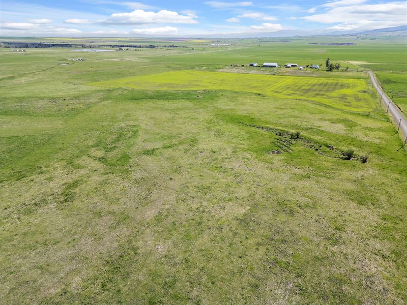 Gill Point Road Lot 5 : Grangeville : Idaho County : Idaho