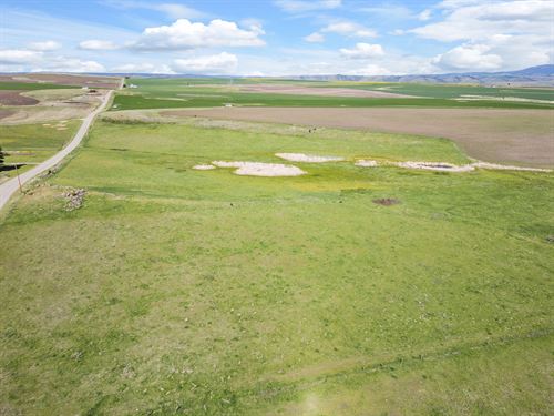 Gill Point Road Lot 6 : Grangeville : Idaho County : Idaho