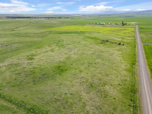 Gill Point Road Lot 4 : Grangeville : Idaho County : Idaho