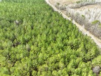 Residential 10 Acre Lot in Mathews : Mathews : Montgomery County : Alabama