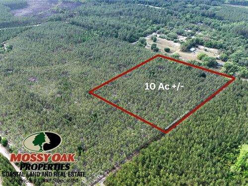 10 Ac Recreational Timberland : Folkston : Charlton County : Georgia