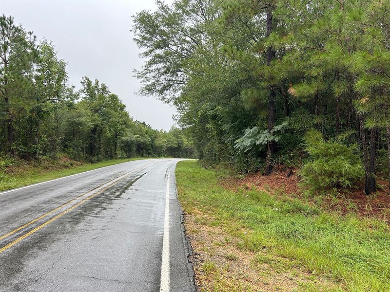 Rural Living with Owner Financing : Mendenhall : Simpson County : Mississippi