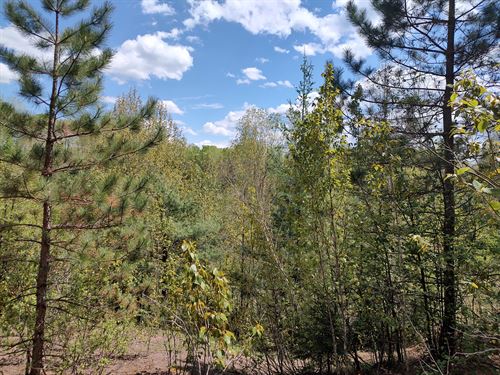 160 Acre Wilderness Retreat : Marenisco : Gogebic County : Michigan