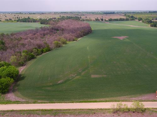 6 Acres in Milam County : Buckholts : Milam County : Texas