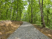 Big Timber Ridge, Phase II Tract 2 : Vinton : Meigs County : Ohio