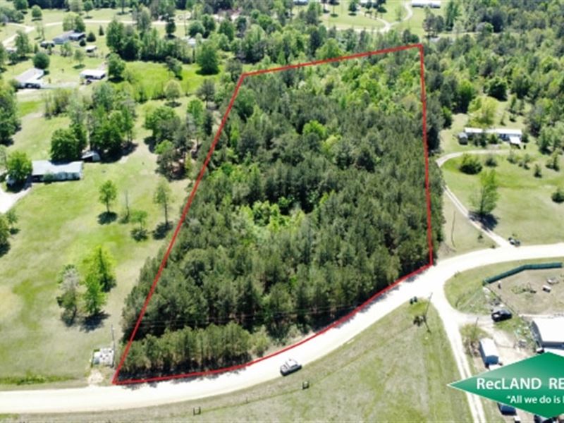 5 ac, Wooded Tract for Home : Collinston : Morehouse Parish : Louisiana