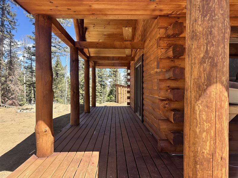 Ophir Creek Cabin : Wetmore : Custer County : Colorado