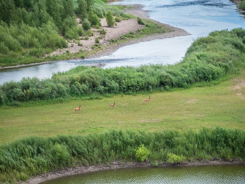 Middle Yampa River Home and Acreage : Hayden : Routt County : Colorado