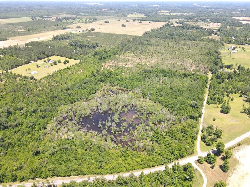 Bethlehem Road Tract : Cottondale : Jackson County : Florida