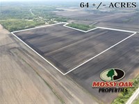 64 Acres / Laporte County / Til : Laporte : Indiana